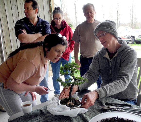 Tom Bjorholm helping a member with their tree during a monthly club meeting
