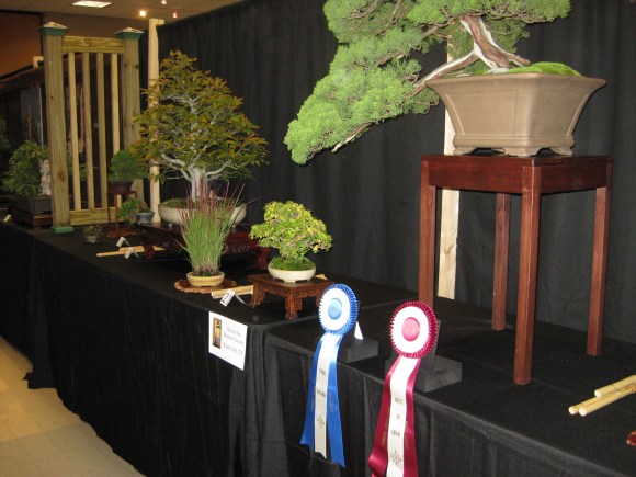 NC Expo 2010 -Awards