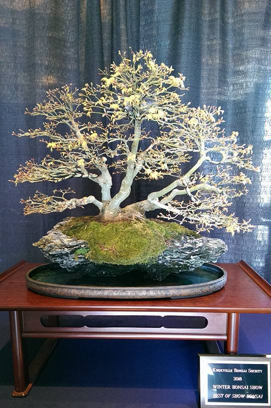 27973353_1891117057589545_5509947480473100974_n