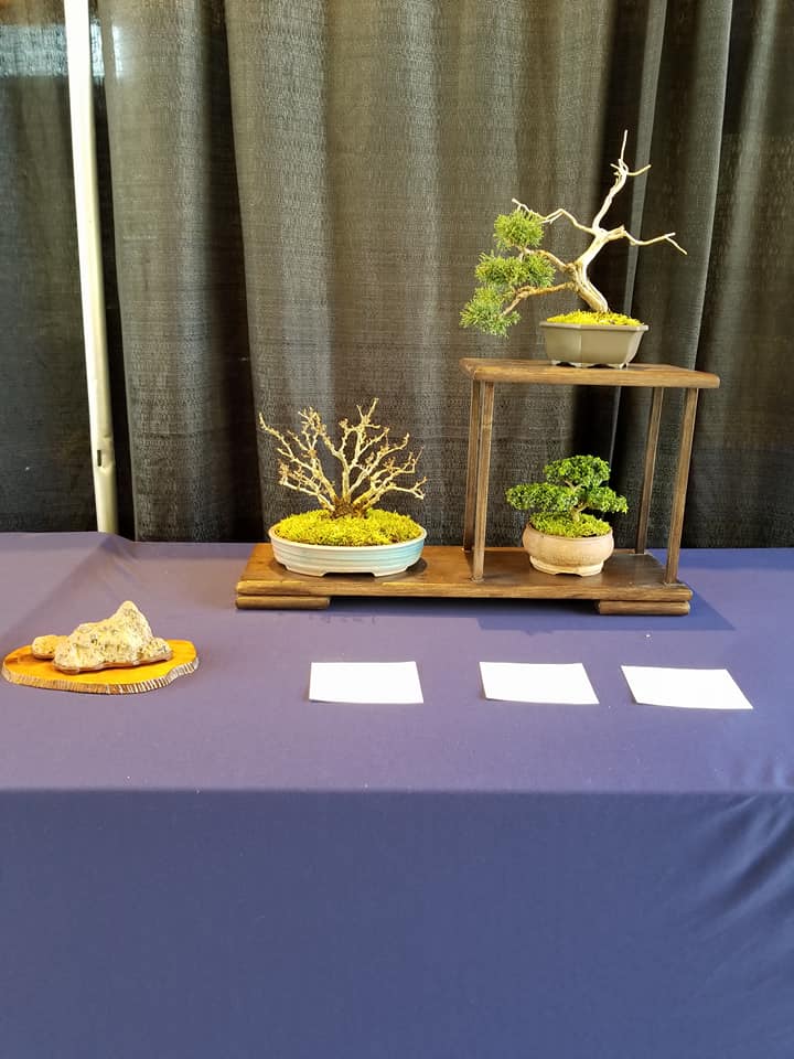 28056546_1891110737590177_3292240468453979256_n