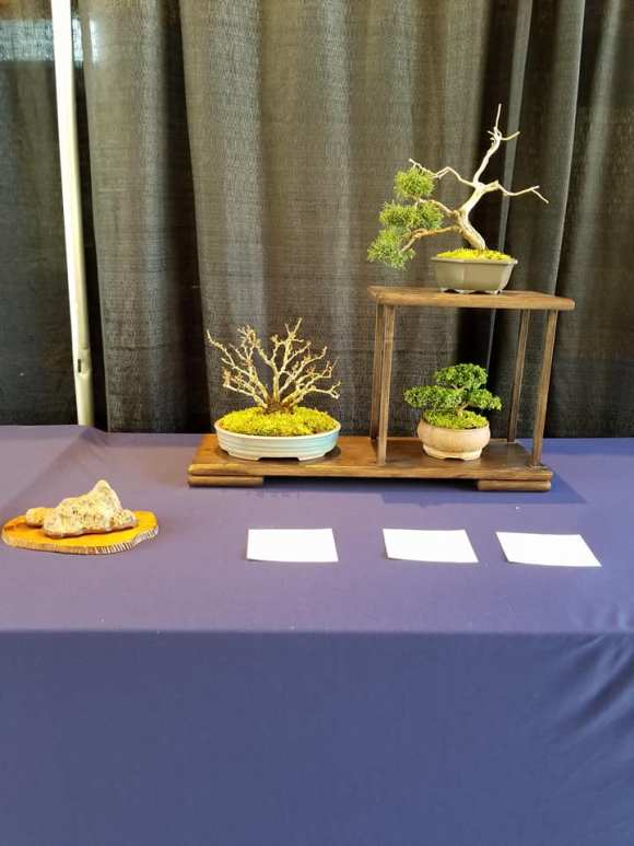 28056546_1891110737590177_3292240468453979256_n