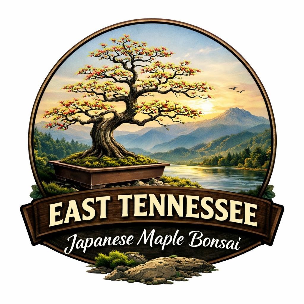 Japanese Maple Bonsai tree in a pot with mountainous landscape and river in background at sunset